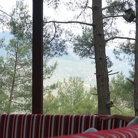 Penzion Tanrilar Kulubu Olympos