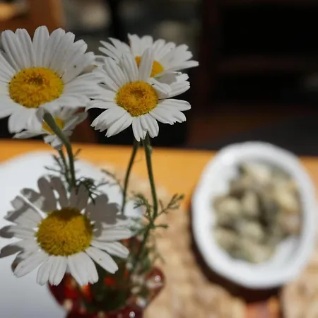 Tanrilar Kulubu Olympos