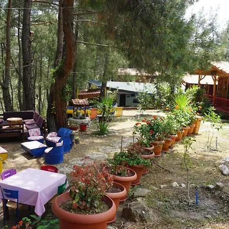 Tanrilar Kulubu Penzion