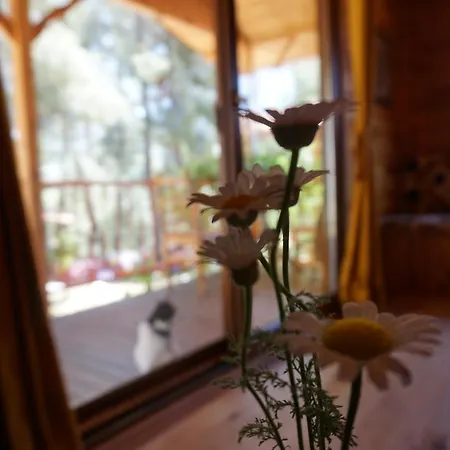 Penzion Tanrilar Kulubu Olympos