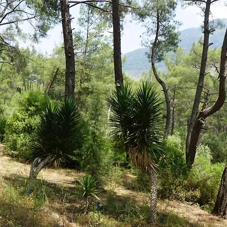 Tanrilar Kulubu Penzion *