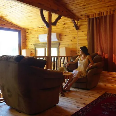 Tanrilar Kulubu Olympos