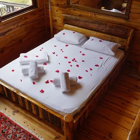 Tanrilar Kulubu * Olympos