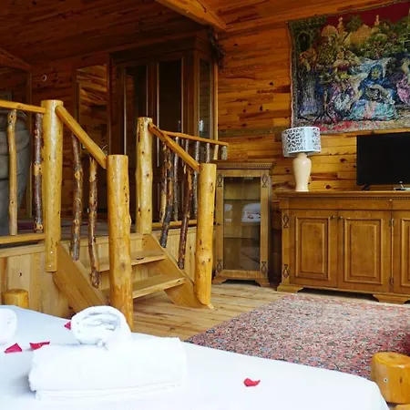 Tanrilar Kulubu * Olympos