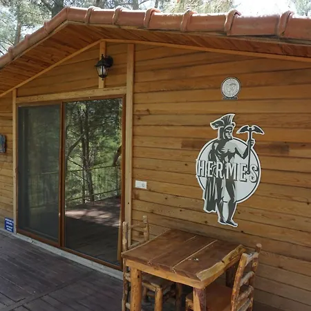 Tanrilar Kulubu Olympos