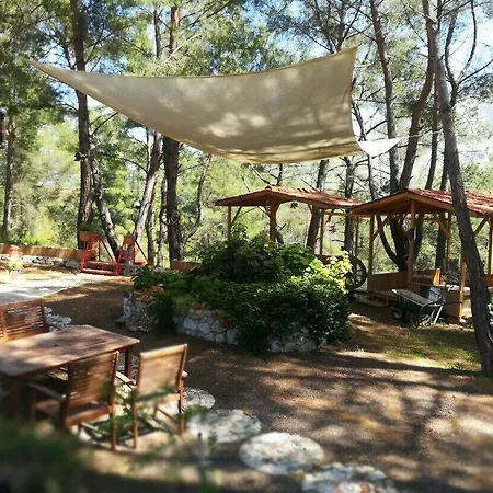 Tanrilar Kulubu * Olympos