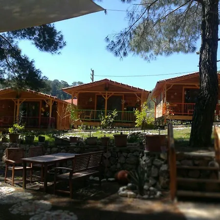 Tanrilar Kulubu *