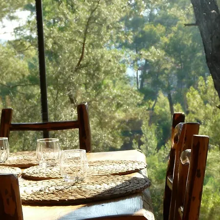 Tanrilar Kulubu * Olympos