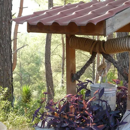 Tanrilar Kulubu Olympos