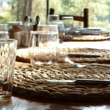 Tanrilar Kulubu Penzion