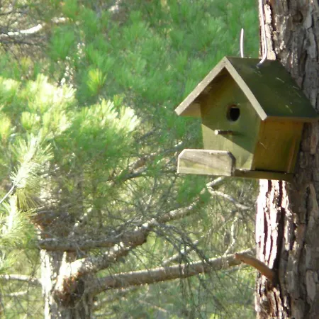 Penzion Tanrilar Kulubu *