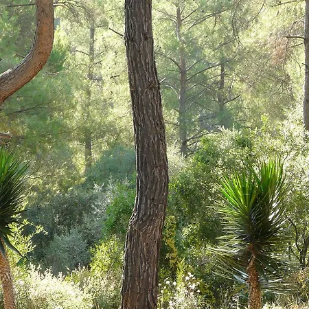 Tanrilar Kulubu Penzion Olympos