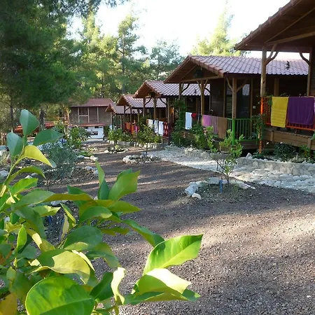 Tanrilar Kulubu Penzion Olympos