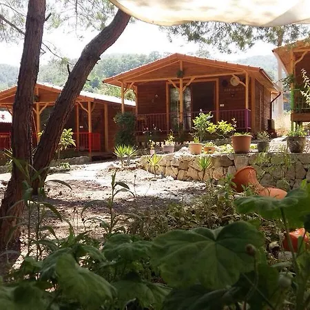 Penzion Tanrilar Kulubu Olympos