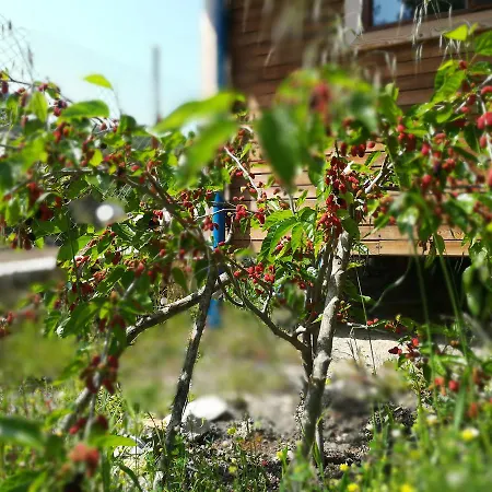 Penzion Tanrilar Kulubu *