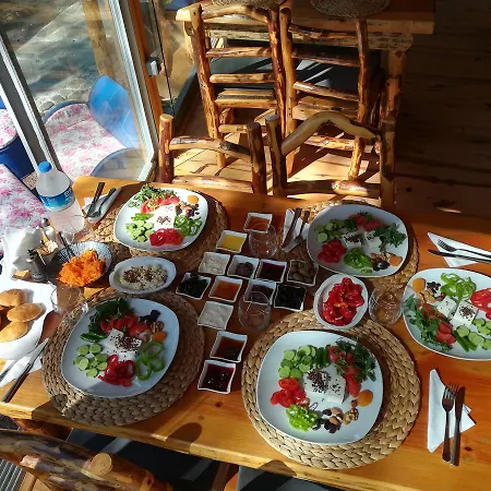 Tanrilar Kulubu * Olympos