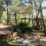 Tanrilar Kulubu * Olympos