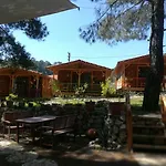 Tanrilar Kulubu *