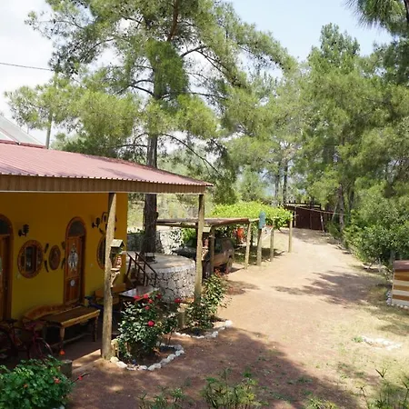 ゲストハウス Tanrilar Kulubu オリンポス