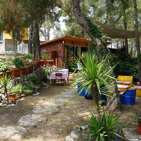 Tanrilar Kulubu בית הארחה
