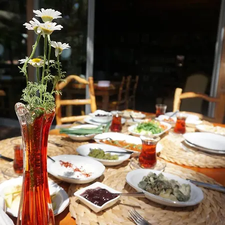 ゲストハウス Tanrilar Kulubu