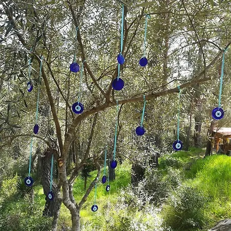 Tanrilar Kulubu בית הארחה *