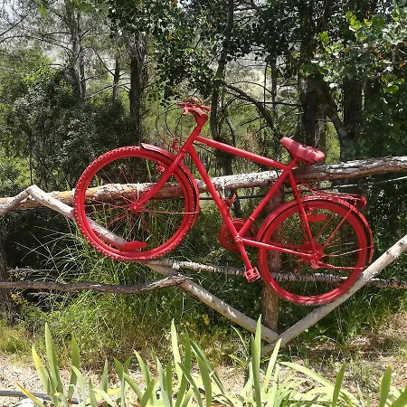 Tanrilar Kulubu ゲストハウス *