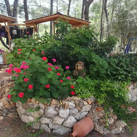 ゲストハウス Tanrilar Kulubu