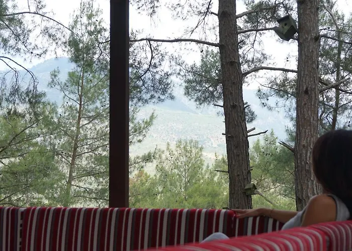 招待所 Tanrilar Kulubu 奥林巴斯