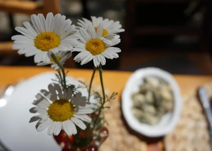 Tanrilar Kulubu 奥林巴斯