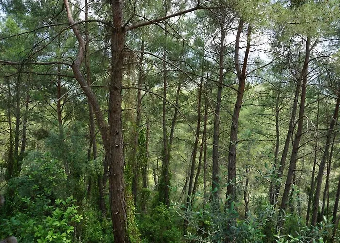 Tanrilar Kulubu 招待所