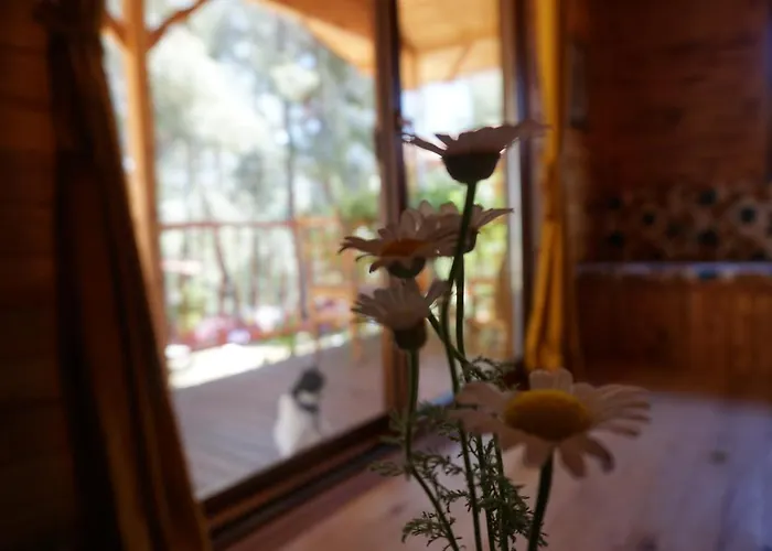 招待所 Tanrilar Kulubu 奥林巴斯