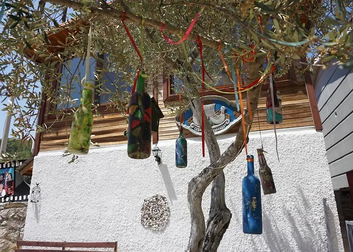 Tanrilar Kulubu 奥林巴斯