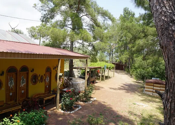 招待所 Tanrilar Kulubu 奥林巴斯