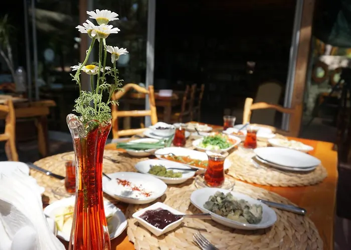 招待所 Tanrilar Kulubu