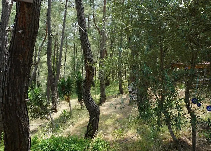 Tanrilar Kulubu