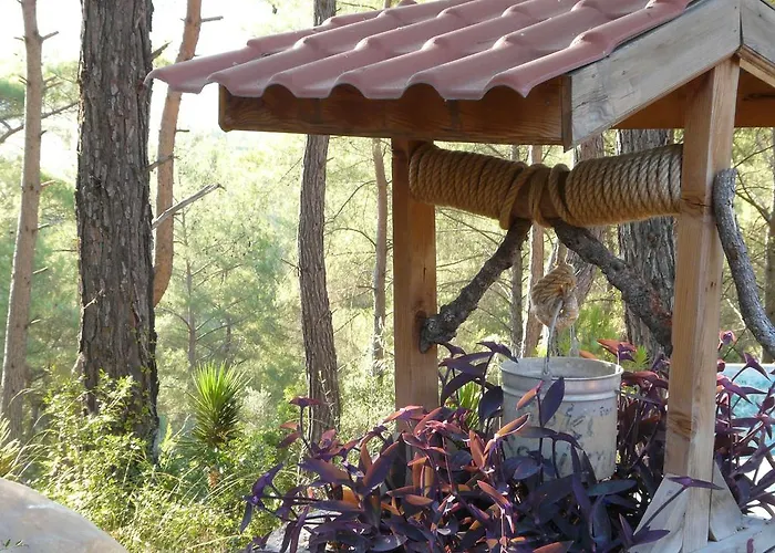 Tanrilar Kulubu 奥林巴斯