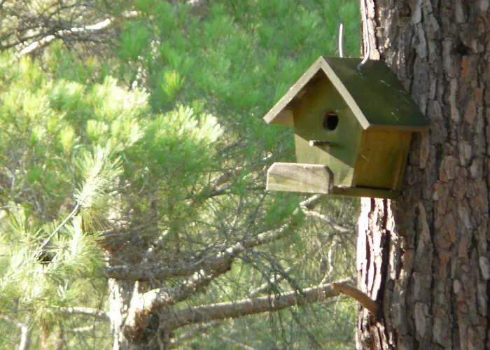 招待所 Tanrilar Kulubu *