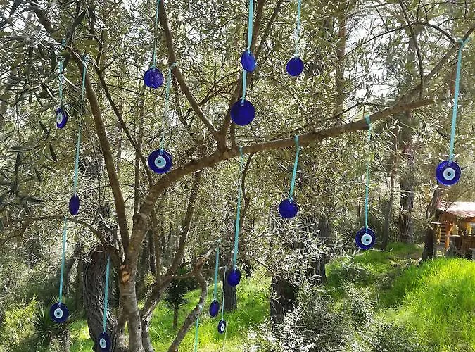 Tanrilar Kulubu 招待所 *