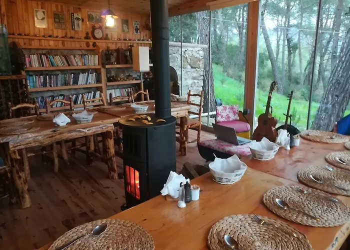 招待所 Tanrilar Kulubu