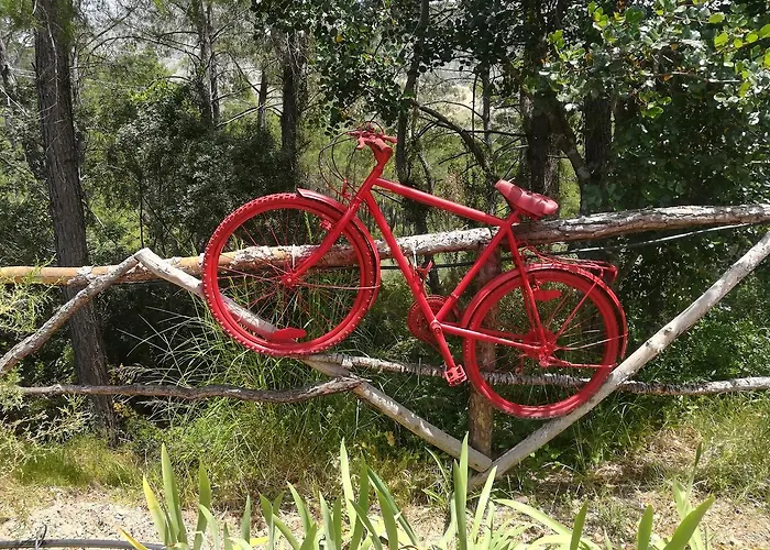 Tanrilar Kulubu 招待所 *