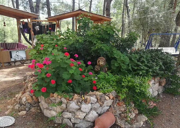 招待所 Tanrilar Kulubu