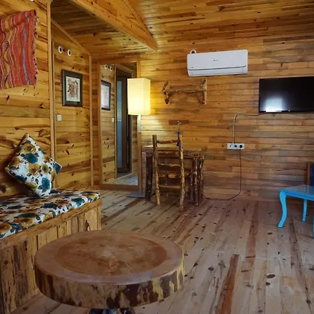 Tanrilar Kulubu Affittacamere Olympos