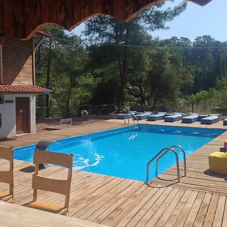 Tanrilar Kulubu Olympos